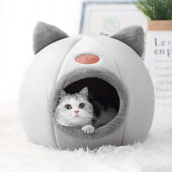 Cat House